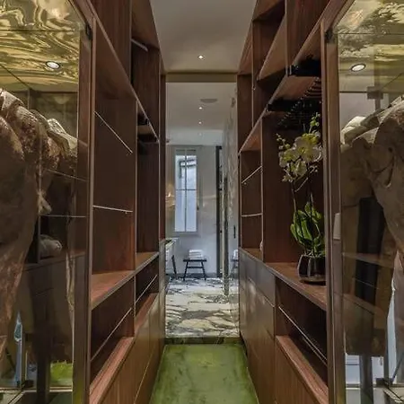 Luxurious Penthouse Close To Champs Elysees And Fr *